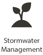 A plant representing Stormwater Management
